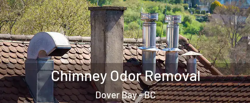  Chimney Odor Removal Dover Bay - BC