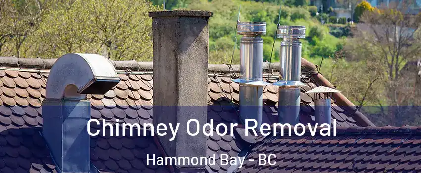  Chimney Odor Removal Hammond Bay - BC