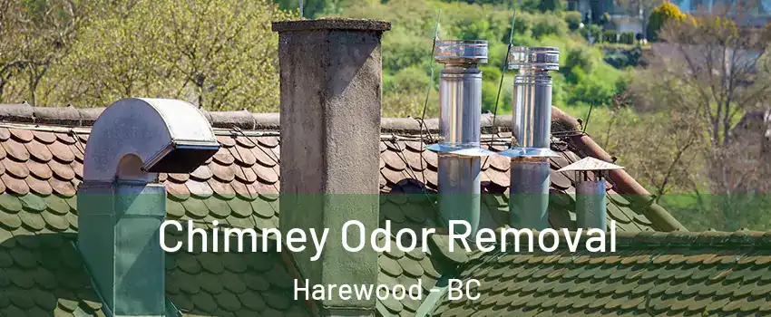  Chimney Odor Removal Harewood - BC