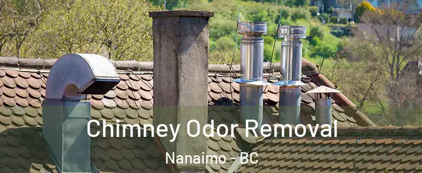 Chimney Odor Removal Nanaimo - BC