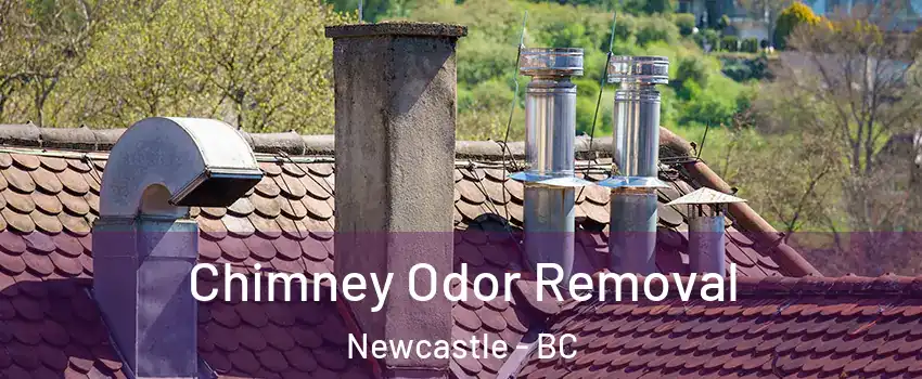 Chimney Odor Removal Newcastle - BC