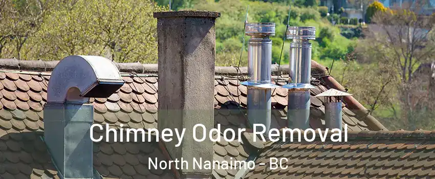  Chimney Odor Removal North Nanaimo - BC