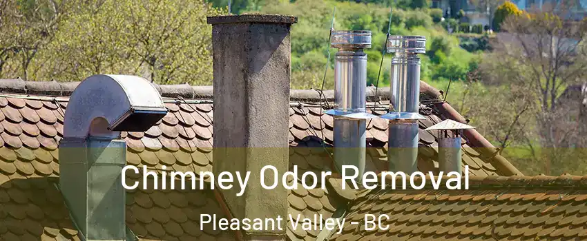  Chimney Odor Removal Pleasant Valley - BC