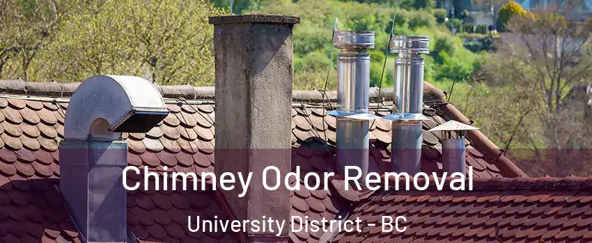  Chimney Odor Removal University District - BC