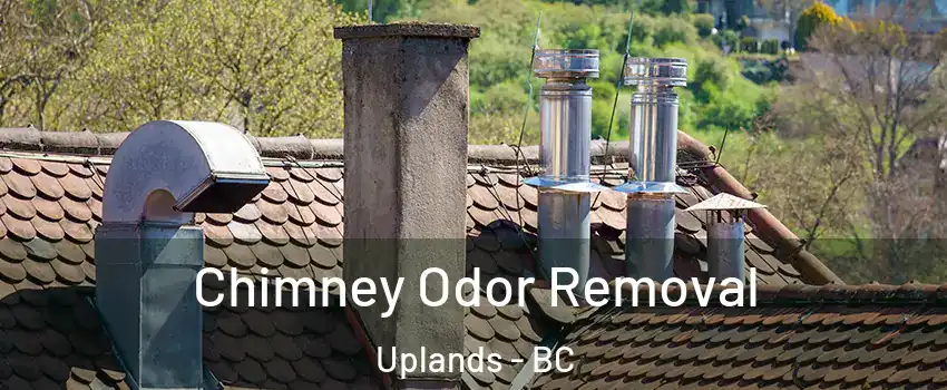  Chimney Odor Removal Uplands - BC