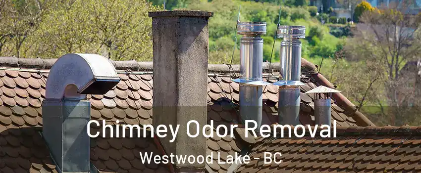  Chimney Odor Removal Westwood Lake - BC