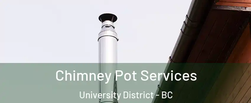  Chimney Pot Services University District - BC