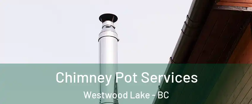  Chimney Pot Services Westwood Lake - BC