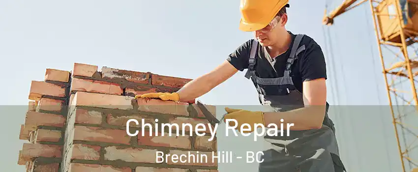  Chimney Repair Brechin Hill - BC