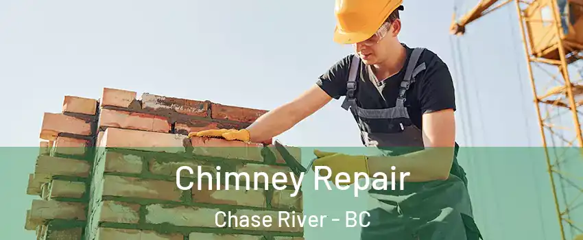  Chimney Repair Chase River - BC