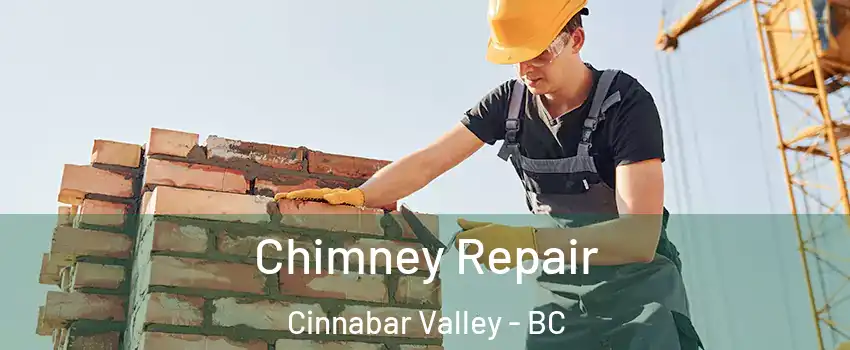 Chimney Repair Cinnabar Valley - BC