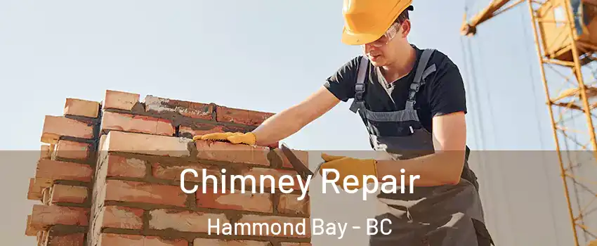  Chimney Repair Hammond Bay - BC
