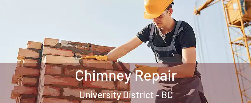  Chimney Repair University District - BC