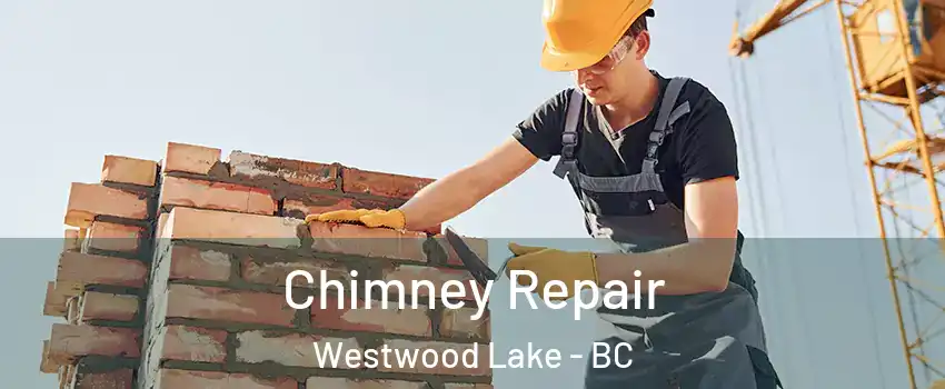  Chimney Repair Westwood Lake - BC