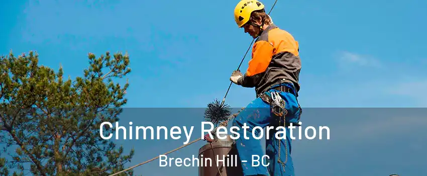  Chimney Restoration Brechin Hill - BC