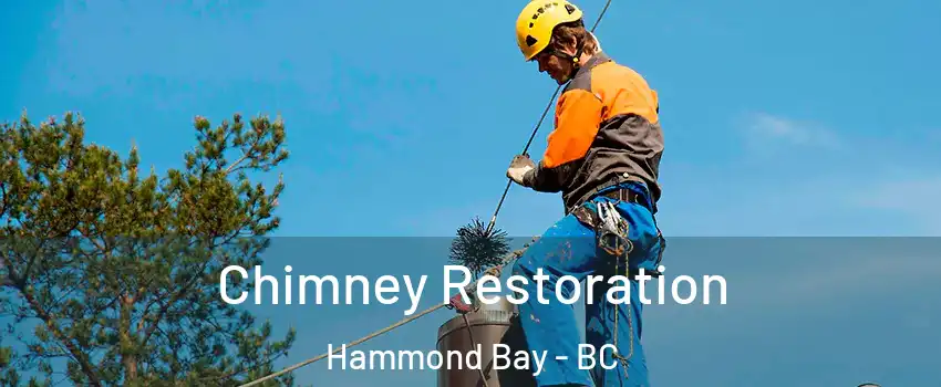  Chimney Restoration Hammond Bay - BC