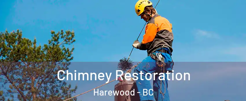  Chimney Restoration Harewood - BC