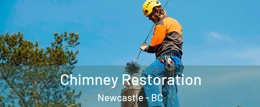  Chimney Restoration Newcastle - BC