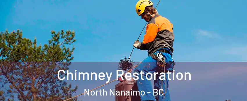  Chimney Restoration North Nanaimo - BC