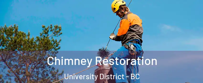  Chimney Restoration University District - BC