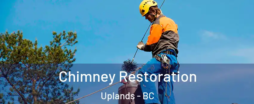  Chimney Restoration Uplands - BC