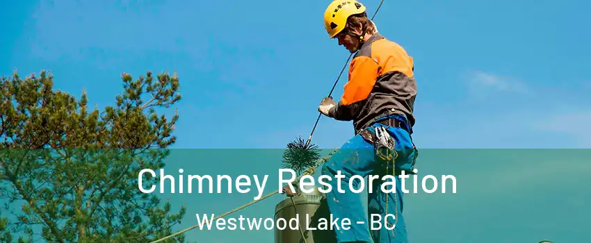  Chimney Restoration Westwood Lake - BC