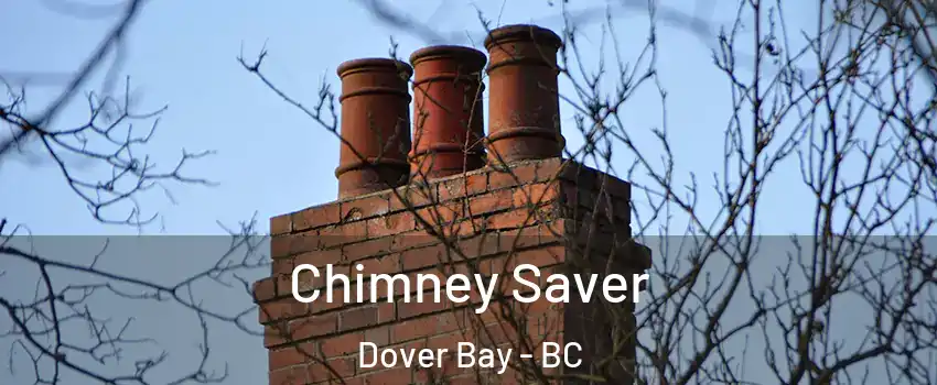 Chimney Saver Dover Bay - BC