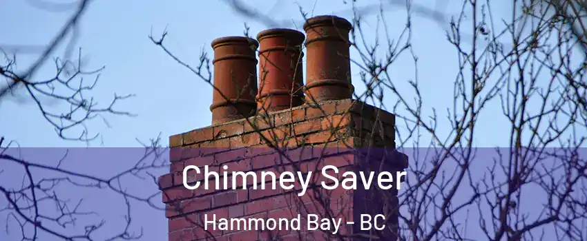  Chimney Saver Hammond Bay - BC