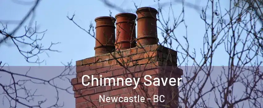  Chimney Saver Newcastle - BC