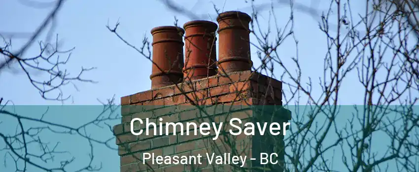  Chimney Saver Pleasant Valley - BC