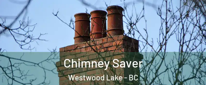  Chimney Saver Westwood Lake - BC