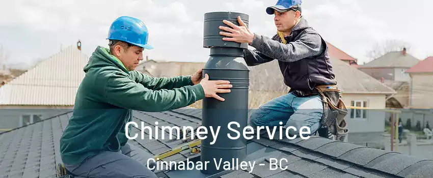  Chimney Service Cinnabar Valley - BC