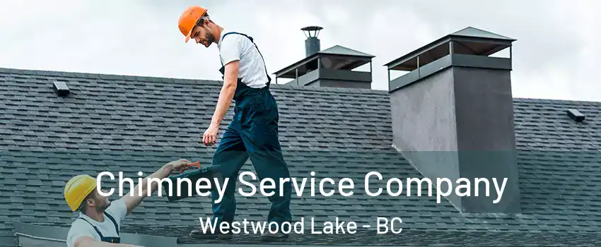  Chimney Service Company Westwood Lake - BC