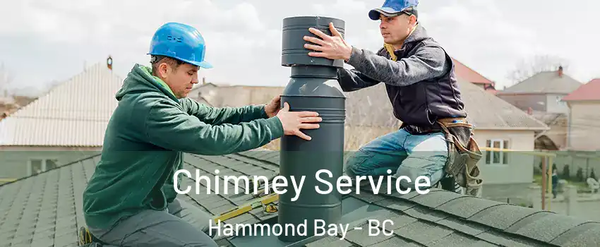  Chimney Service Hammond Bay - BC