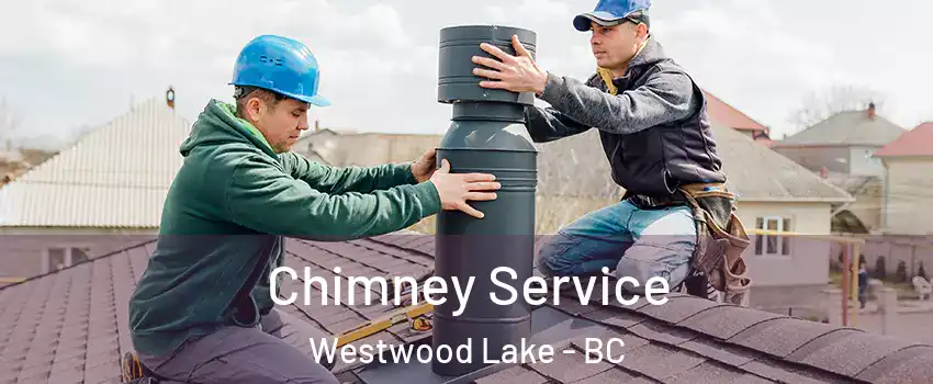 Chimney Service Westwood Lake - BC