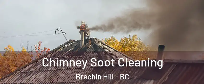  Chimney Soot Cleaning Brechin Hill - BC