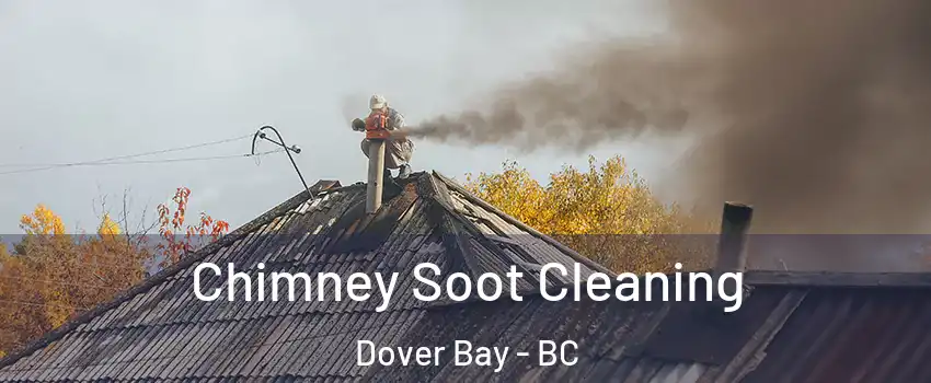  Chimney Soot Cleaning Dover Bay - BC