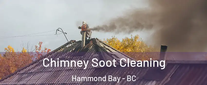  Chimney Soot Cleaning Hammond Bay - BC