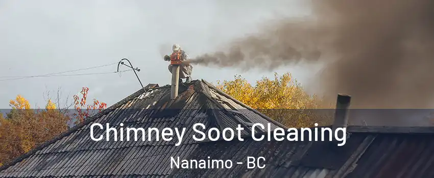  Chimney Soot Cleaning Nanaimo - BC