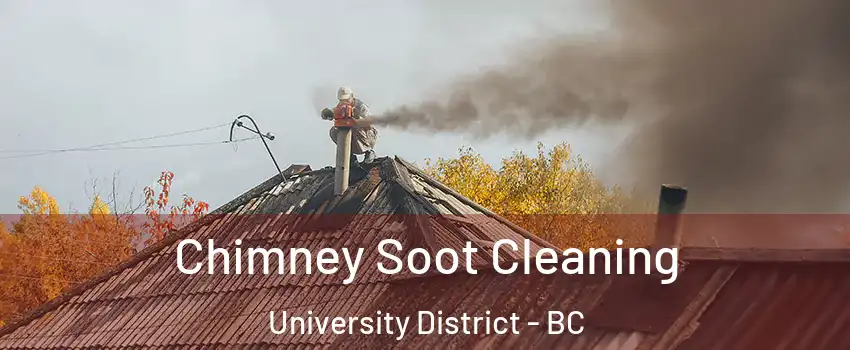  Chimney Soot Cleaning University District - BC