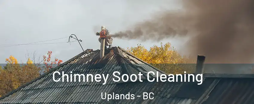  Chimney Soot Cleaning Uplands - BC