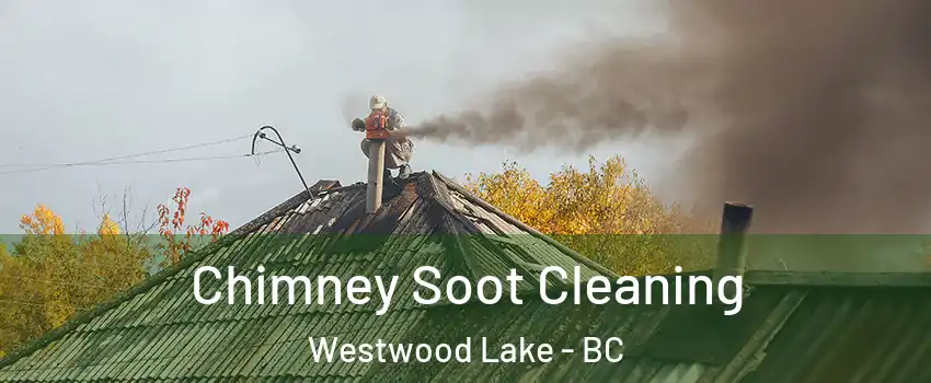  Chimney Soot Cleaning Westwood Lake - BC