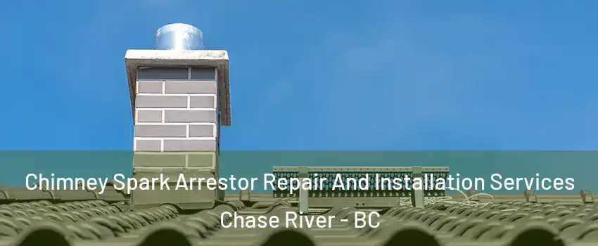  Chimney Spark Arrestor Repair And Installation Services Chase River - BC