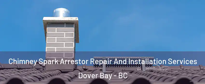  Chimney Spark Arrestor Repair And Installation Services Dover Bay - BC