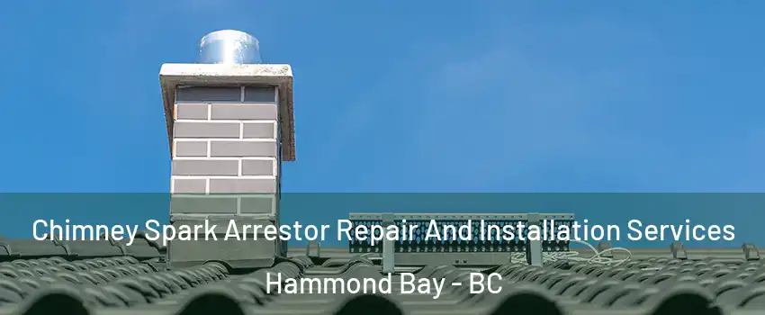  Chimney Spark Arrestor Repair And Installation Services Hammond Bay - BC