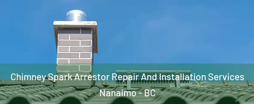  Chimney Spark Arrestor Repair And Installation Services Nanaimo - BC