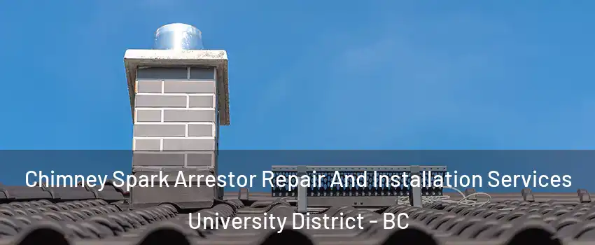  Chimney Spark Arrestor Repair And Installation Services University District - BC