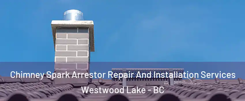  Chimney Spark Arrestor Repair And Installation Services Westwood Lake - BC