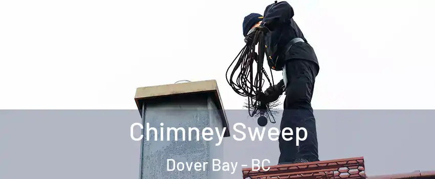  Chimney Sweep Dover Bay - BC