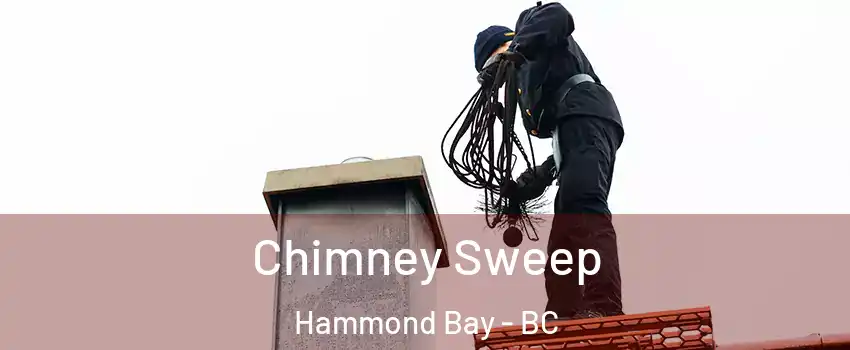 Chimney Sweep Hammond Bay - BC